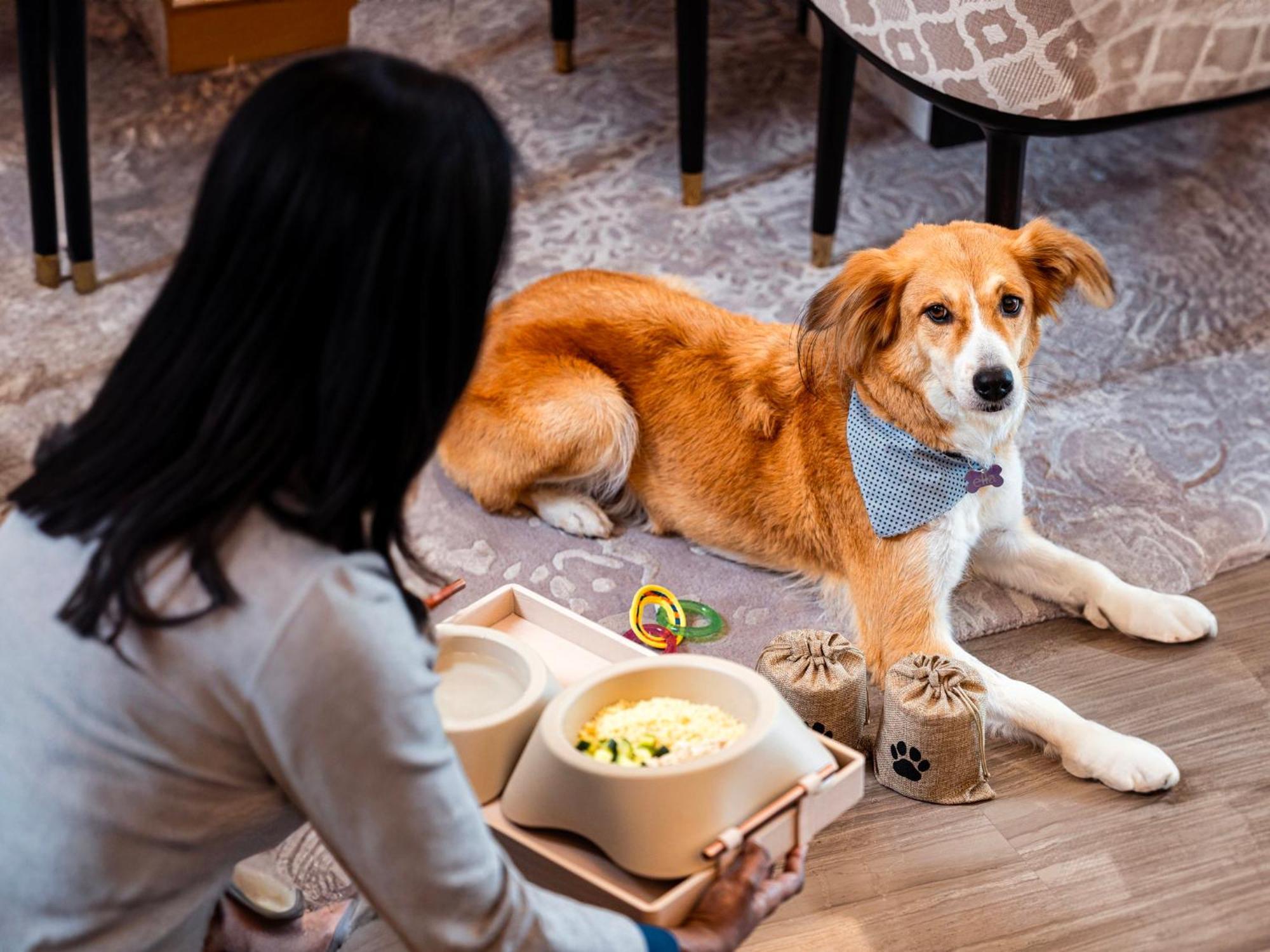 Abesq Doha Hotel And Residences, An Ihg Hotel Exterior photo A dog at the Four Seasons Hotel, Hong Kong